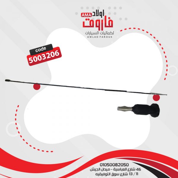 اريال شرطه